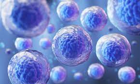 Medicina Biologica y Cancer